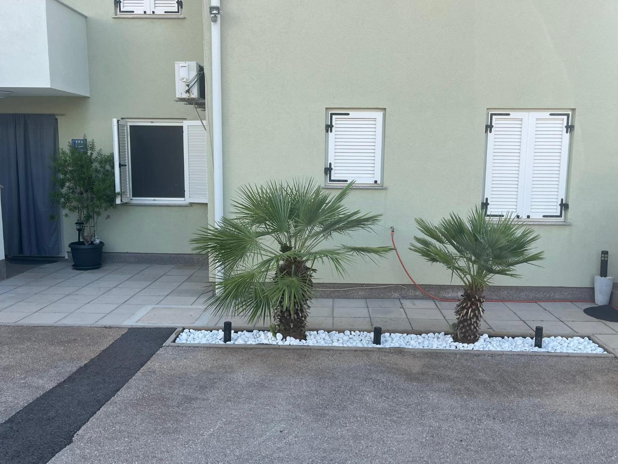 Apartment - Ivo Čižići Dış mekan fotoğraf